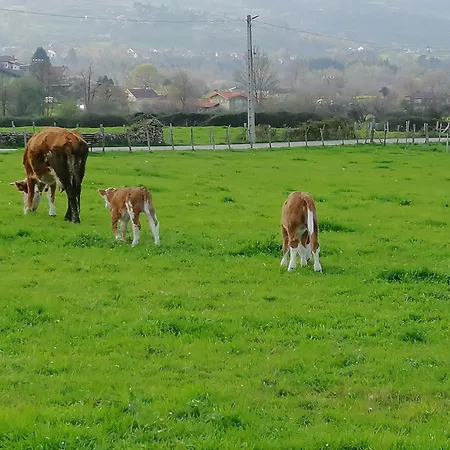Country house La Casa De Santa Olalla