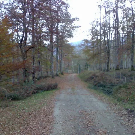 La Casa De Santa Olalla *