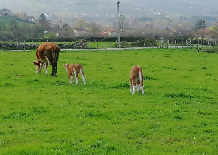 Séjour à la campagne La Casa De Santa Olalla