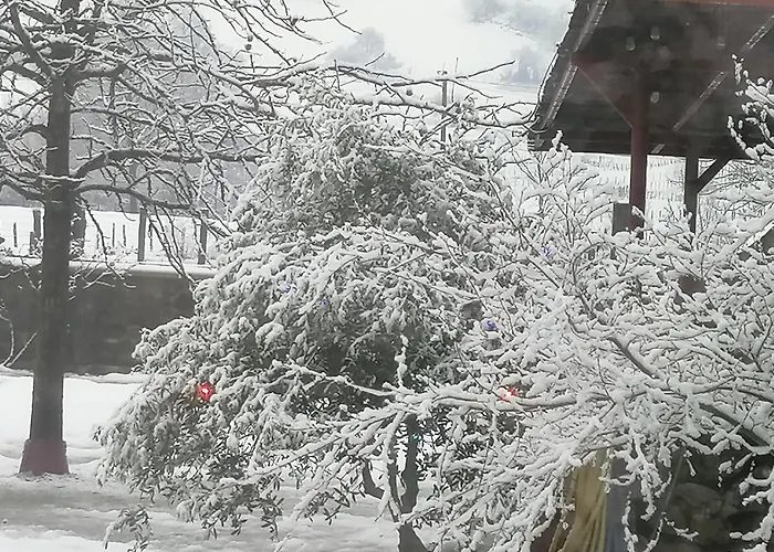 Séjour à la campagne La Casa De Santa Olalla *