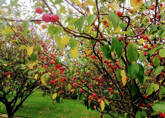 Séjour à la campagne La Casa De Santa Olalla *