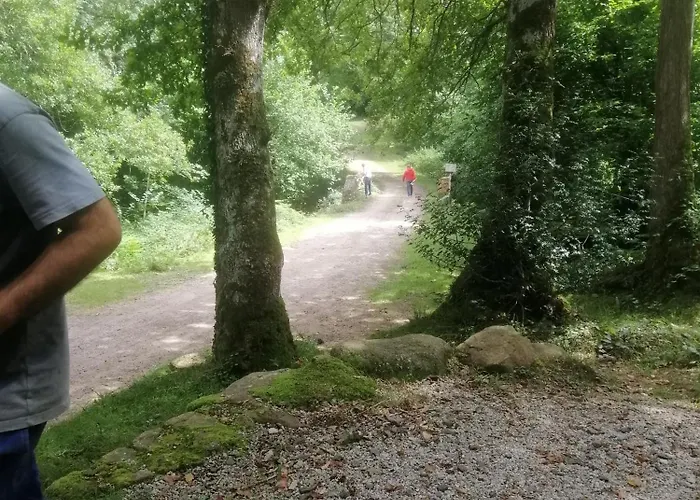 Séjour à la campagne La Casa De Santa Olalla Molledo