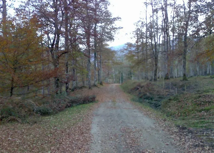 La Casa De Santa Olalla *